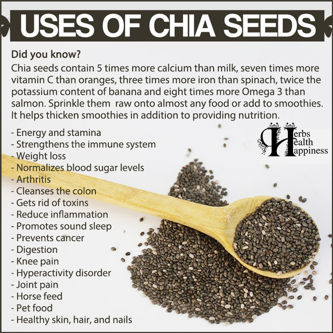 Uses Of Chia Seeds