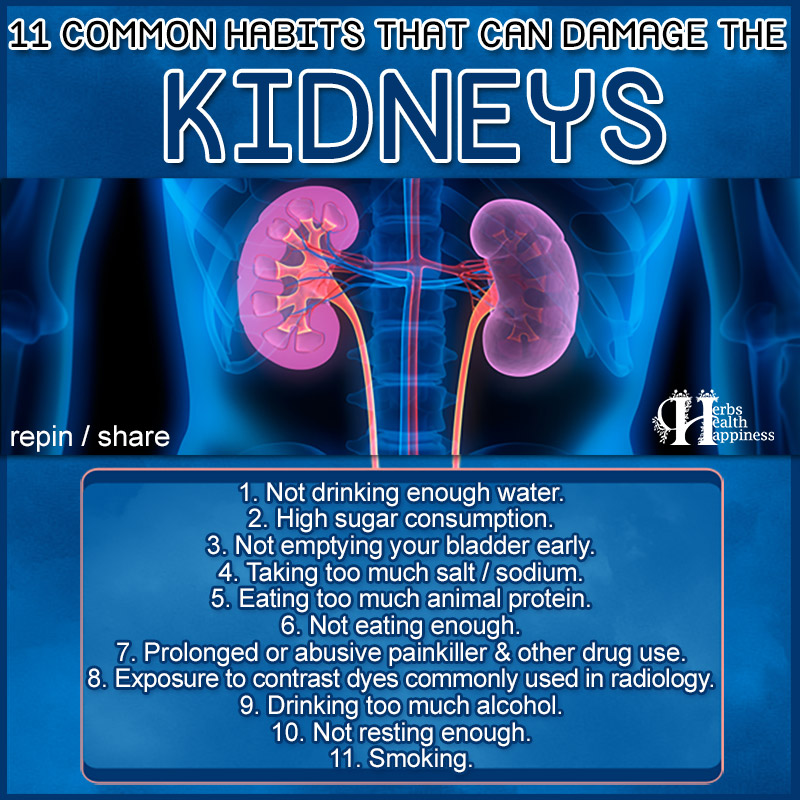 11 Common Habits That Can Damage The Kidneys