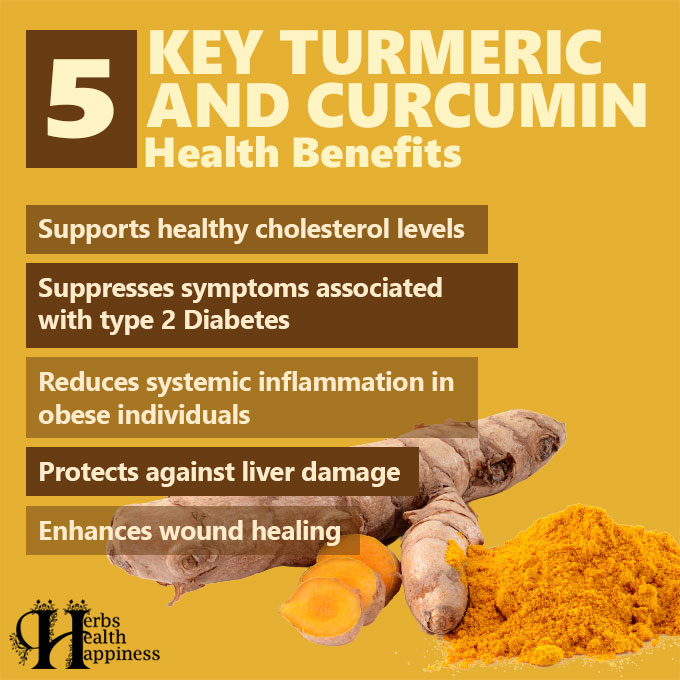 5 Key Health Health Benefits Of Turmeric And Curcumin