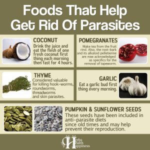 6 Foods That Help Get Rid Of Parasites - Herbs Health & Happiness