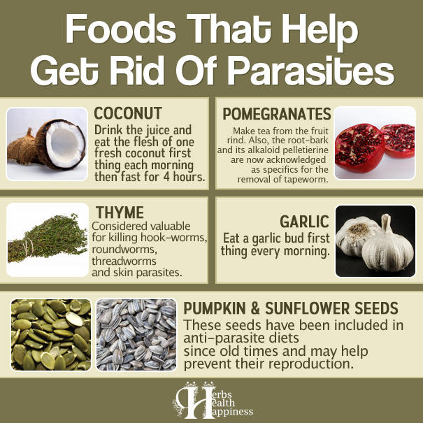 6 Foods That Help Get Rid Of Parasites