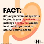 80% Of Your Immune System Is Located In Your Digestive Tract