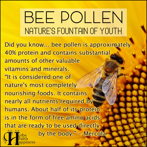 Bee Pollen - Nature's Fountain Of Youth