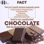 Benefits Of Raw Chocolate For Health