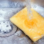 Cleaning a Dirty Sponge Only Helps Its Worst Bacteria, Study Says