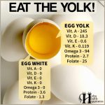 Eat The Yolk