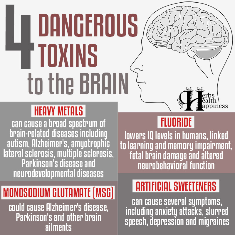 Four Dangerous Toxins To The BRAIN