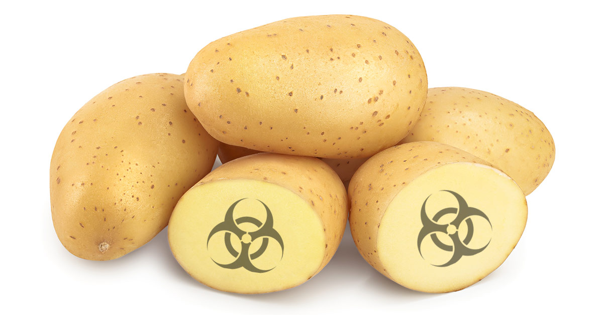GMO Potato Creator Now Fears Its Impact on Human Health