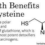 Health Benefits Of Cysteine