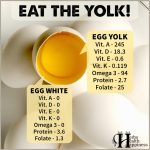 Eat The Yolk