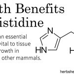Health Benefits Of Histidine