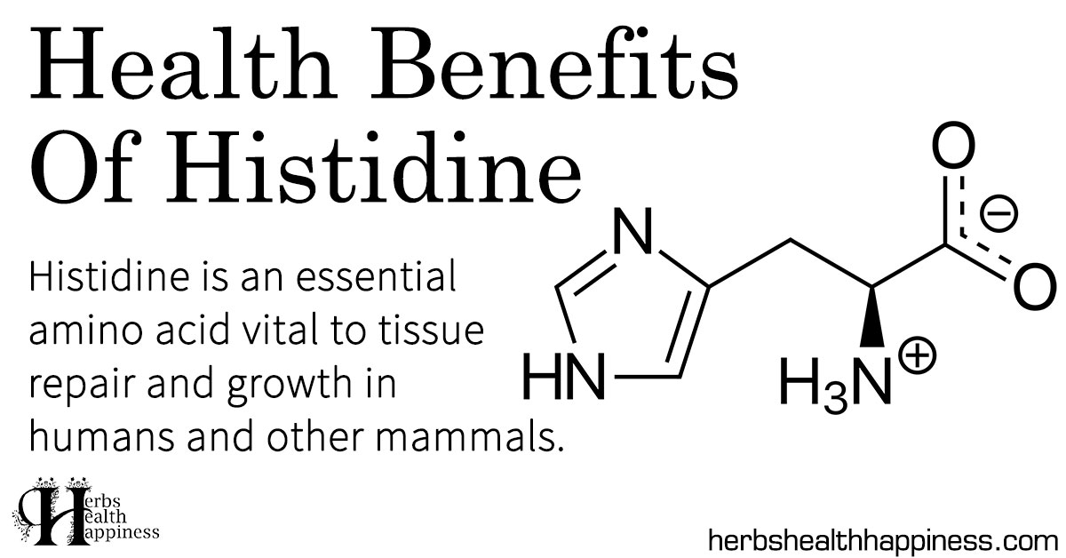 Health Benefits Of Histidine