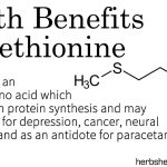 Health Benefits Of Methionine