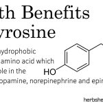 Health Benefits Of Tyrosine