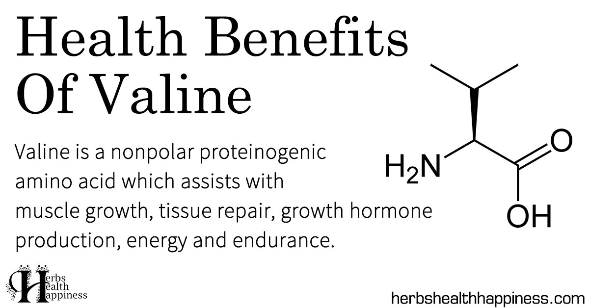 Health Benefits Of Valine