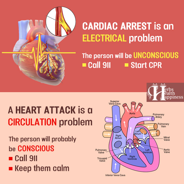 Heart Attack vs. Cardiac Arrest – Do You Know The Difference? - Herbs ...