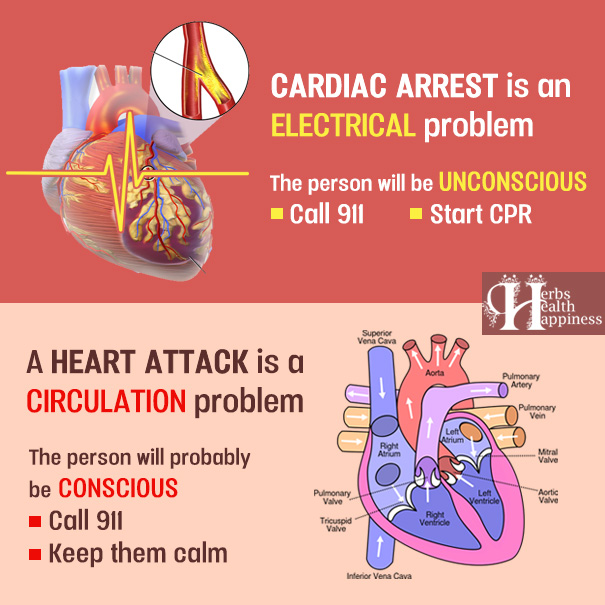 Heart Attack vs. Cardiac Arrest – Do You Know The Difference?