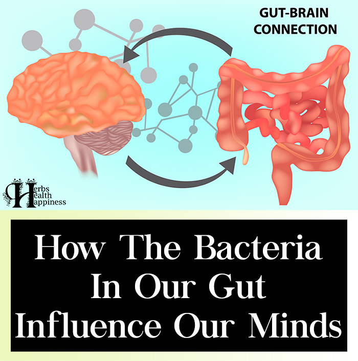 How The Bacteria In Our Gut Influence Our Minds