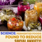 Science: Fermented Foods Found To Reduce Social Anxiety