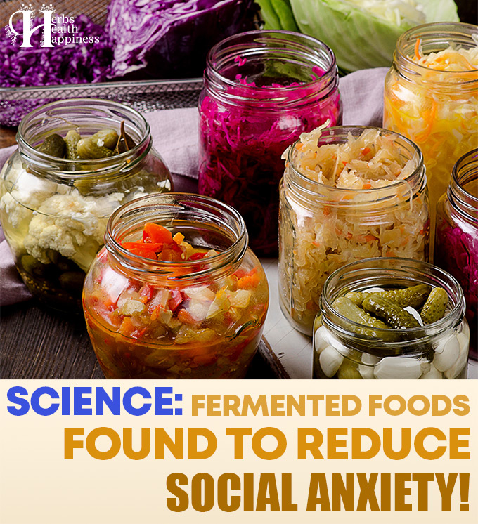 Science - Fermented Foods Found To Reduce Social Anxiety