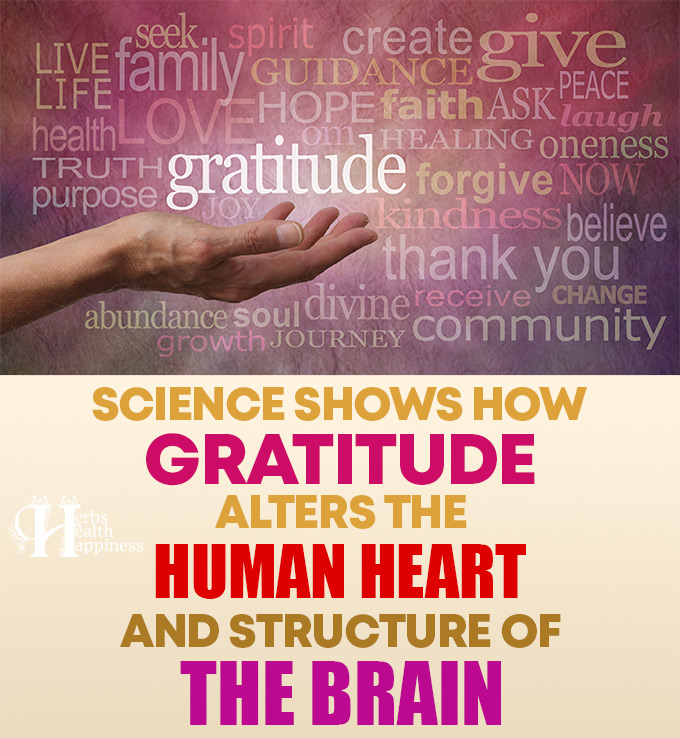 Scientists Show How Gratitude Alters The Human Heart & Structure Of The Brain