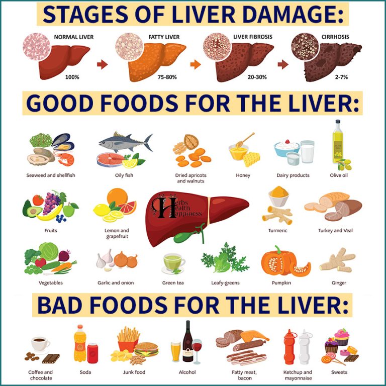 Herbs Health & Happiness Fatty Liver Does Not Show Up In Scans Until It ...