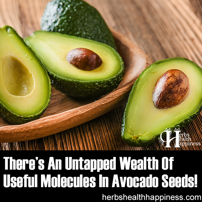 There's An Untapped Wealth Of Useful Molecules In Avocado Seeds