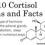 Top 10 Cortisol Myths & Facts