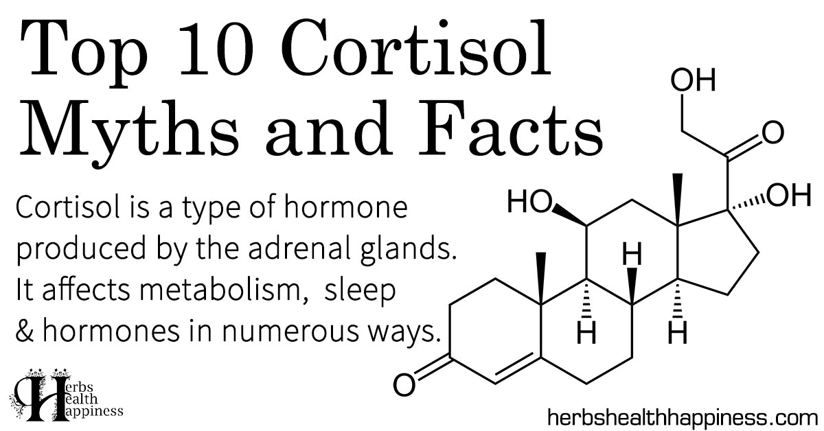 Top 10 Cortisol Myths & Facts