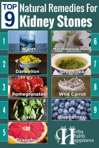 Herbs Health & Happiness Top 9 Natural Remedies for Kidney Stones ...