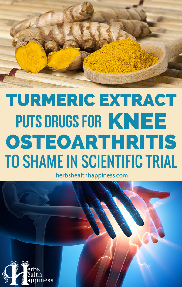 Turmeric Extract Puts Drugs For Knee Osteoarthritis To Shame In Scientific Trial