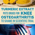 Turmeric Extract Puts Drugs For Knee Osteoarthritis To Shame