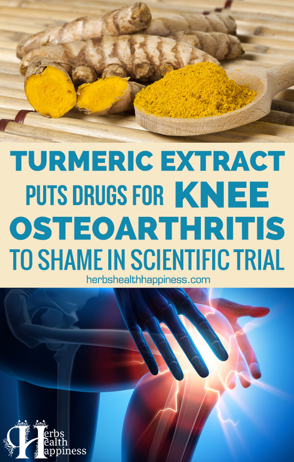 Turmeric Extract Puts Drugs For Knee Osteoarthritis To Shame In Scientific Trial