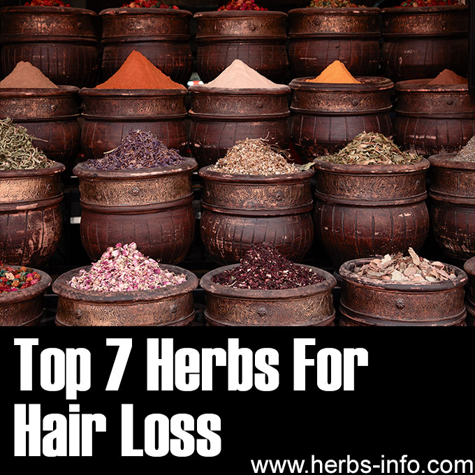 7 Herbs For Hair Loss