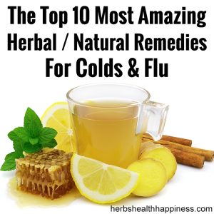 Top 10 Most Amazing Herbal / Natural Remedies For Colds And Flu: A ...