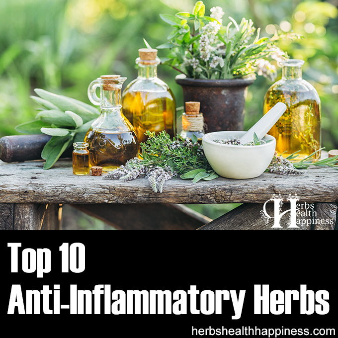 Top 10 Anti-Inflammatory Herbs