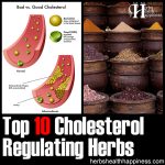 10 Herbs For Cholesterol