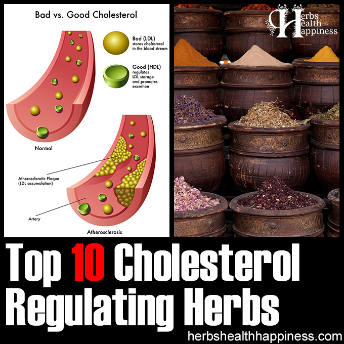 Top 10 Cholesterol Regulating Herbs