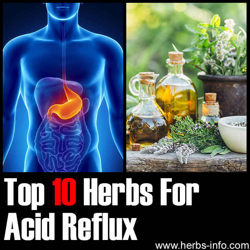 Top 10 Herbs For Acid Reflux