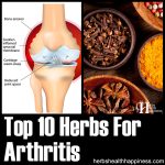 10 Herbs For Arthritis
