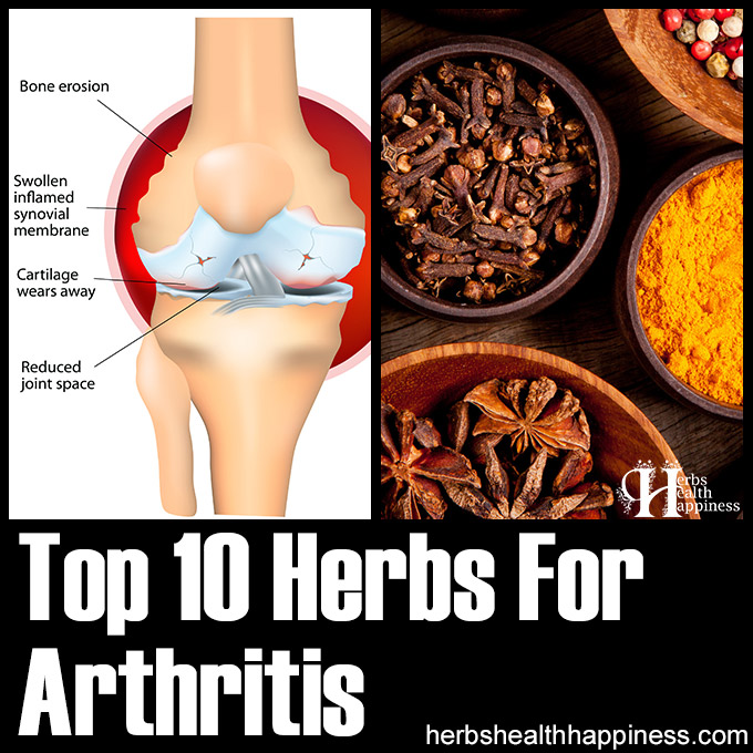 Top 10 Herbs For Arthritis