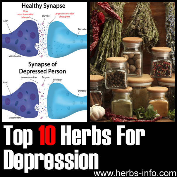 Top 10 Herbs For Depression