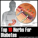 10 Herbs For Diabetes