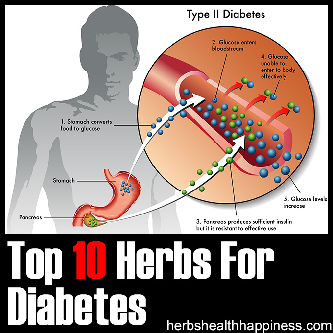 Top 10 Herbs For Diabetes