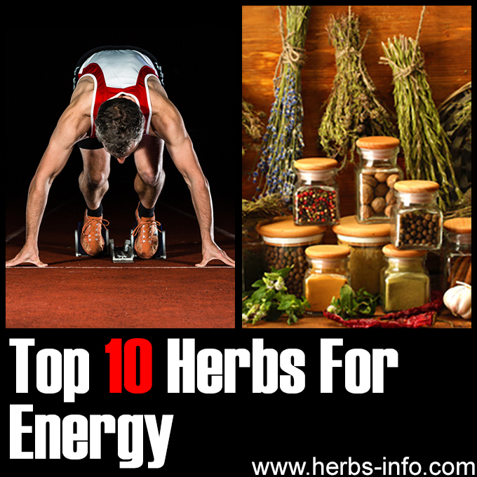 Top 10 Herbs For Energy