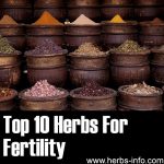 10 Herbs For Fertility
