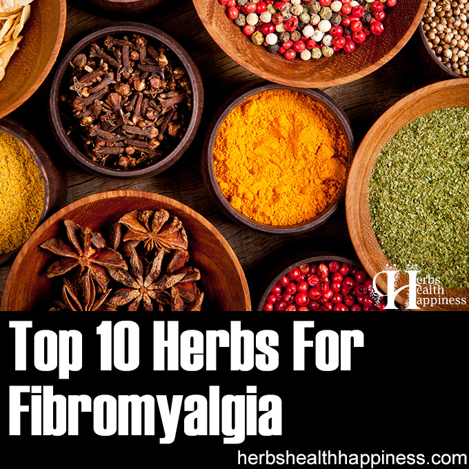 Top 10 Herbs For Fibromyalgia