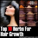 10 Herbs For Hair Growth