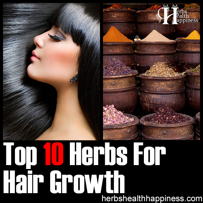 Top 10 Herbs For Hair Growth