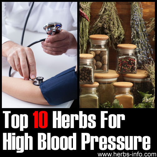 Top 10 Herbs For High Blood Pressure